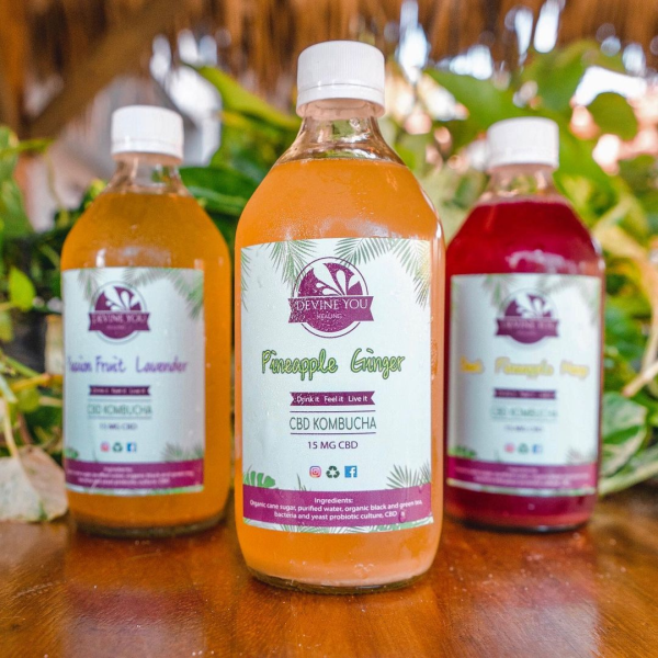 CBD Kombucha
